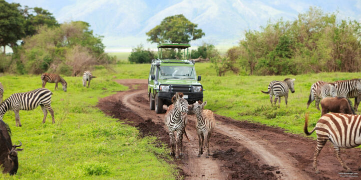 8-Day Tanzania Family Safari