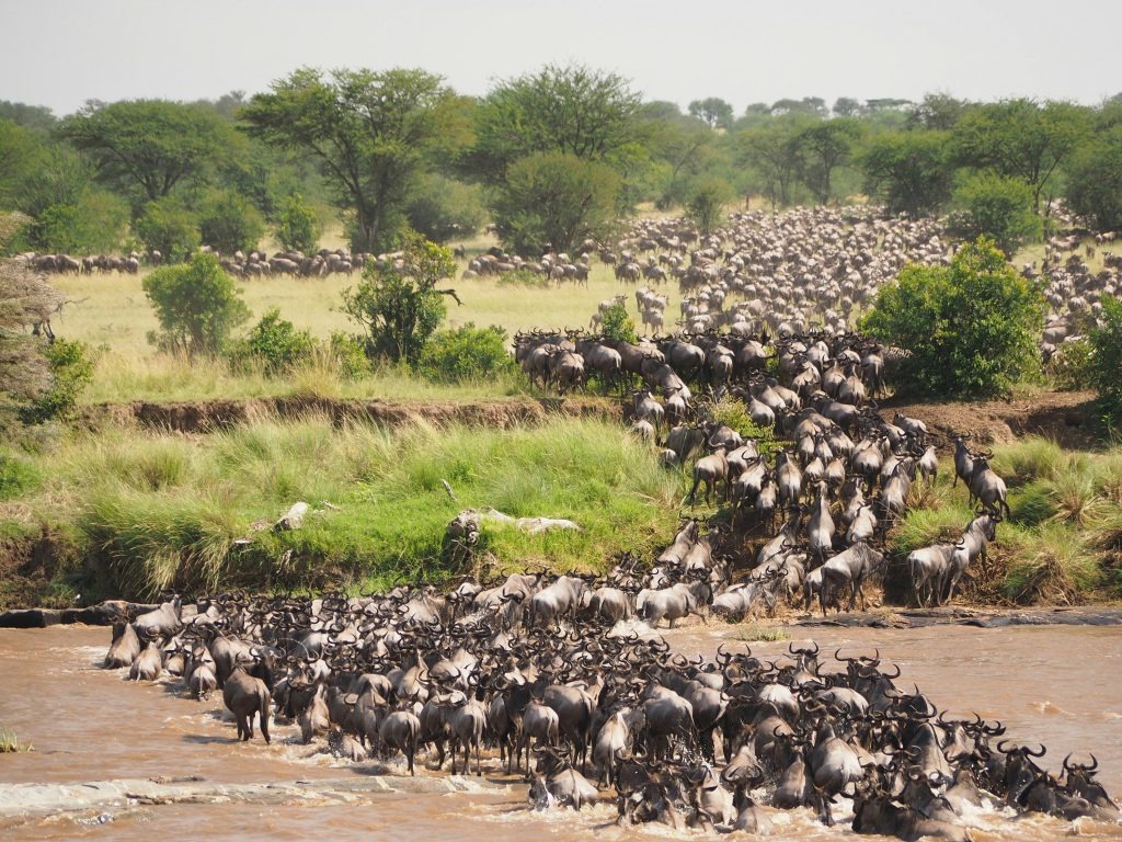 Wonders of the Natural World