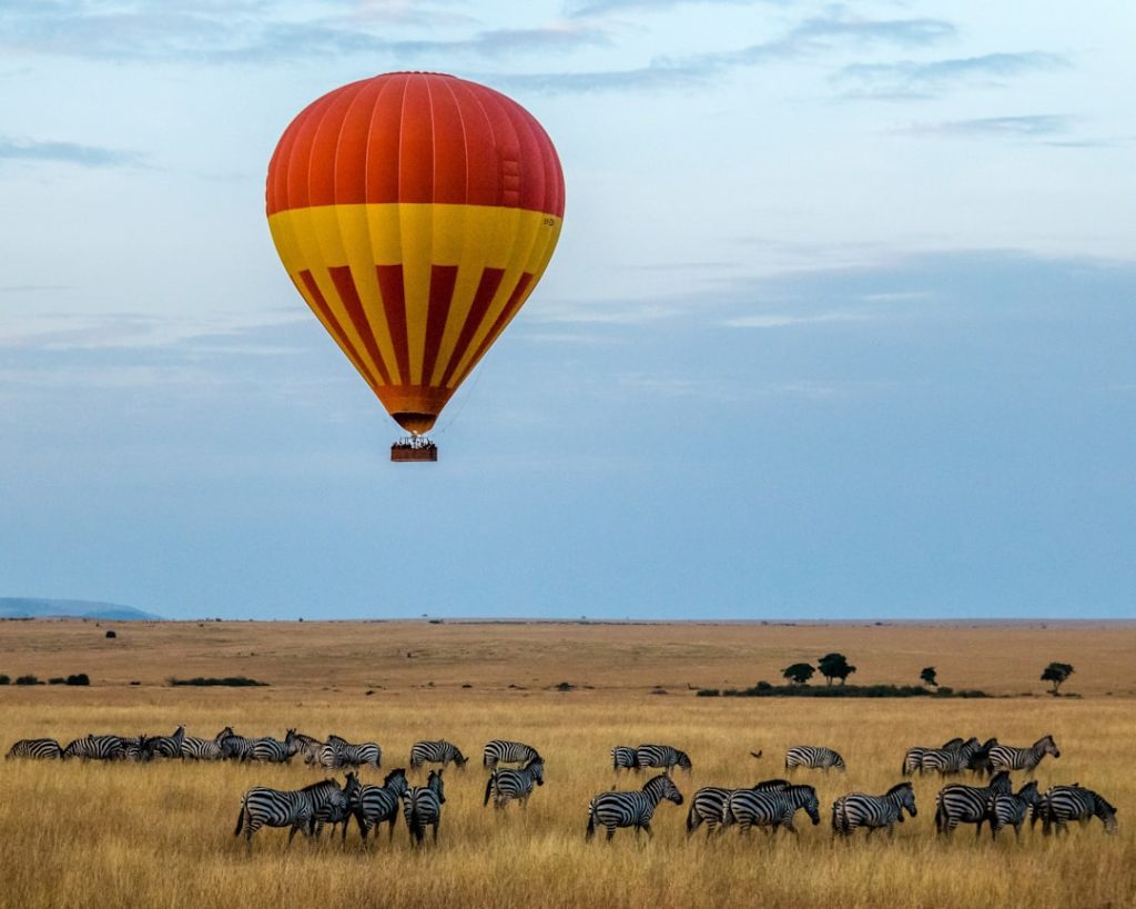 red-and-yellow-hot-air-balloon-over-field-with-zebras-kjobqwmunww A lone hot air balloon over a herd of zebras.