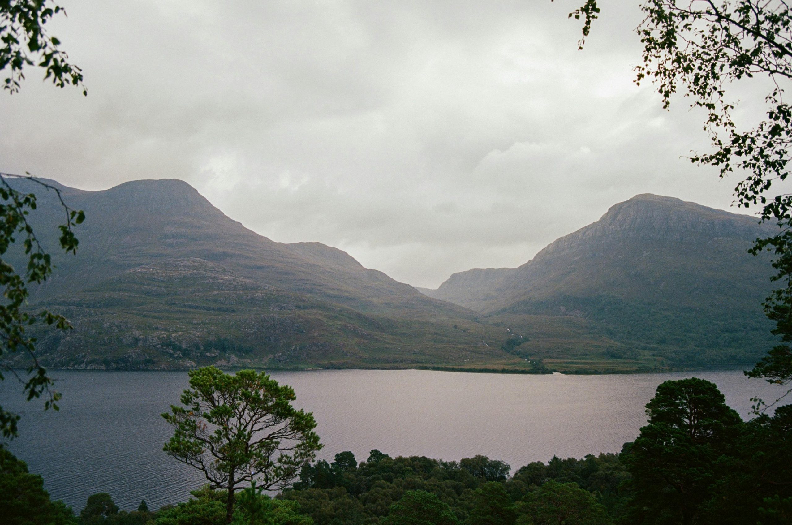 Serene Lakeside with Rolling Hills and Lush Trees